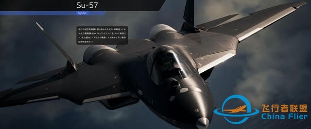 《皇牌空戰7：未知空域》全飛機圖鑒-4508