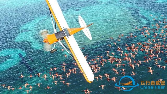 《微軟模擬飛行》大火“出圈”，沒想到Bug成為了最大賣點…-156