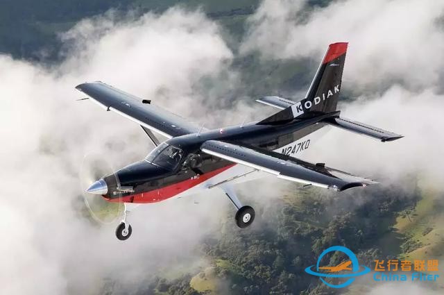 探尋Kodiak 100的多用途基因-9536
