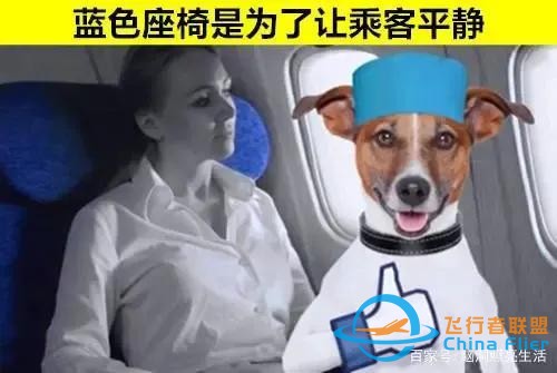 可能讓你無法了解到的 與飛機有關的9個有趣小知識-8335