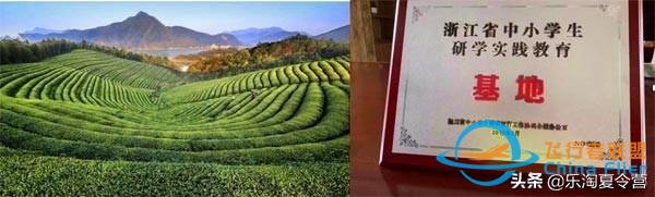 莫干山體驗(yàn)航空的驚險(xiǎn)，騎行的樂趣，自然的美妙，探險(xiǎn)的收獲-804