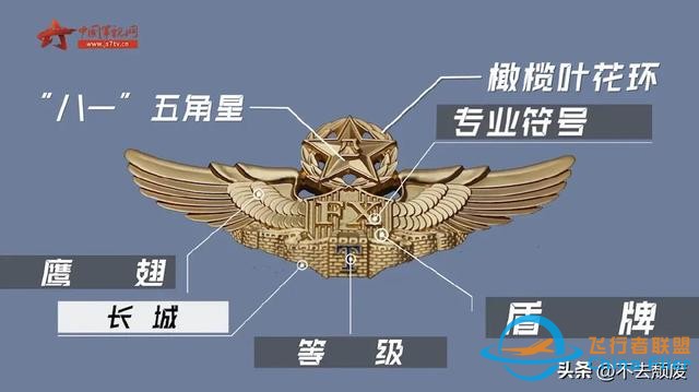 科普飛行員胸前標識的“玄機”？細節滿滿！知識滿滿-1951
