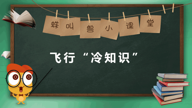 三萬英尺高空，你不知道的飛行“冷知識”-8185
