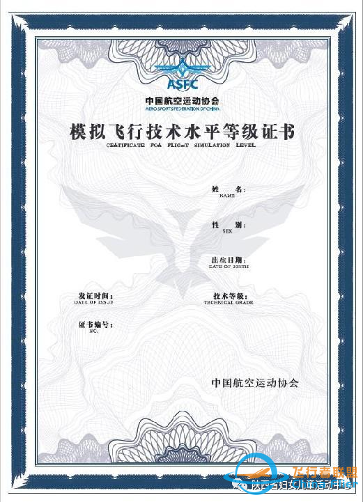 青蘋果·雛鷹展翅模擬飛行開始招生啦-3216