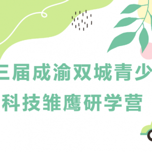 迫降逃生、模擬飛行，科技雛鷹當上小小機長