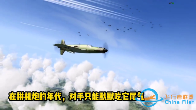 扭矩終結(jié)者！根治歪頭飛機，來看前拉后推的Do335箭式-5737