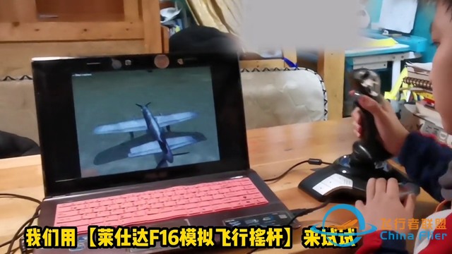 扭矩終結(jié)者！根治歪頭飛機，來看前拉后推的Do335箭式-261