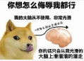 《微軟飛行模擬2024》評測9.0分系列飛躍，對中文玩家最好的一代-1074