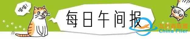 貓狗是兩種個性迥異的寵物，但在這一點上卻能達成共識丨每日午間報-3268